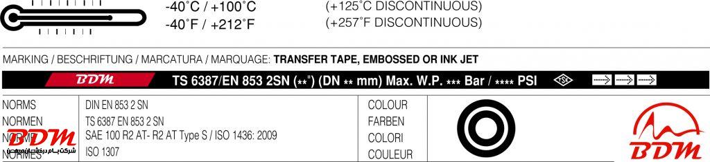 شیلنگ دولاسیم 100R2