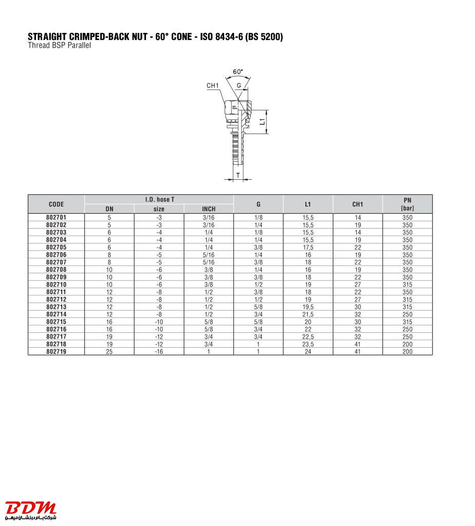 مهره دنباله برجسته انگلیسی
